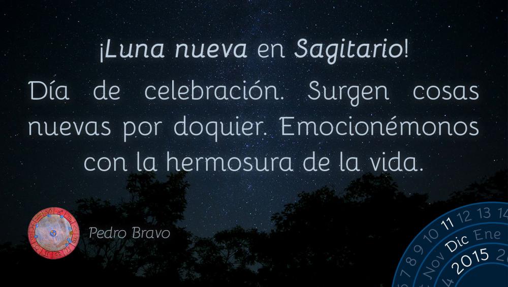 &iexcl;Luna nueva en Sagitario!D&iacute;a de celebraci&oacute;n. Surgen cosas nuevas por doquier. Emocion&eacute;monos con la hermosura de la vida.