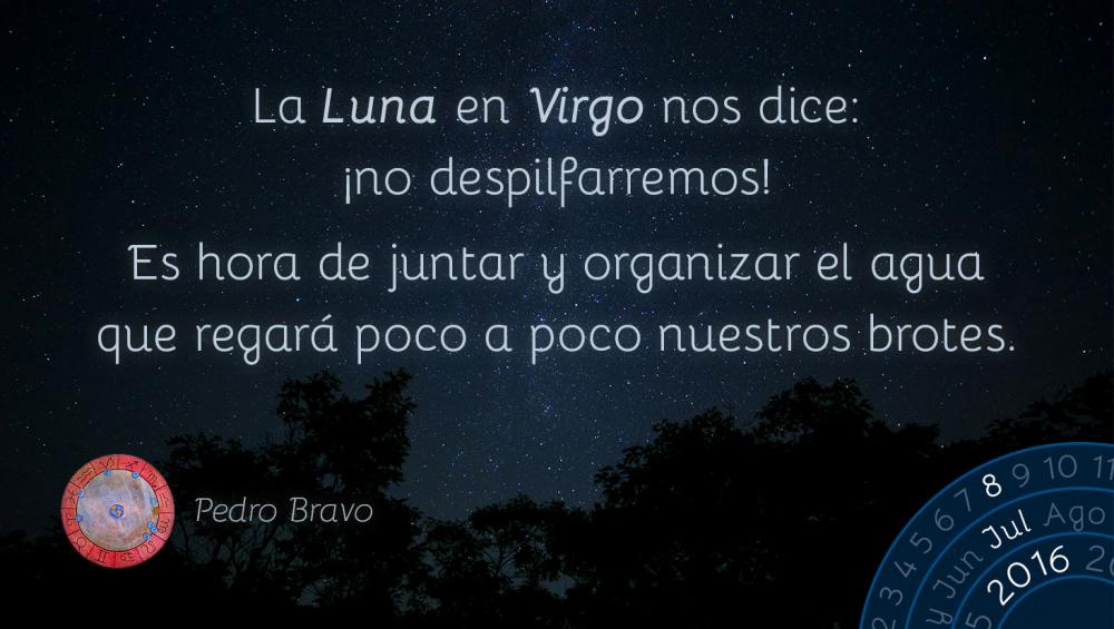 La Luna en Virgo nos dice: &iexcl;no despilfarremos!Es hora de juntar y organizar el agua que regar&aacute; poco a poco nuestros brotes.